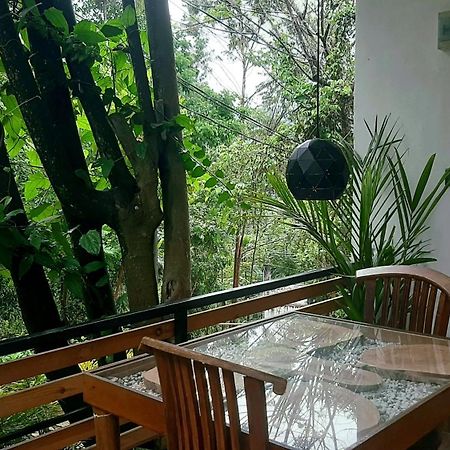Dhanudi Homestay 엘라 외부 사진