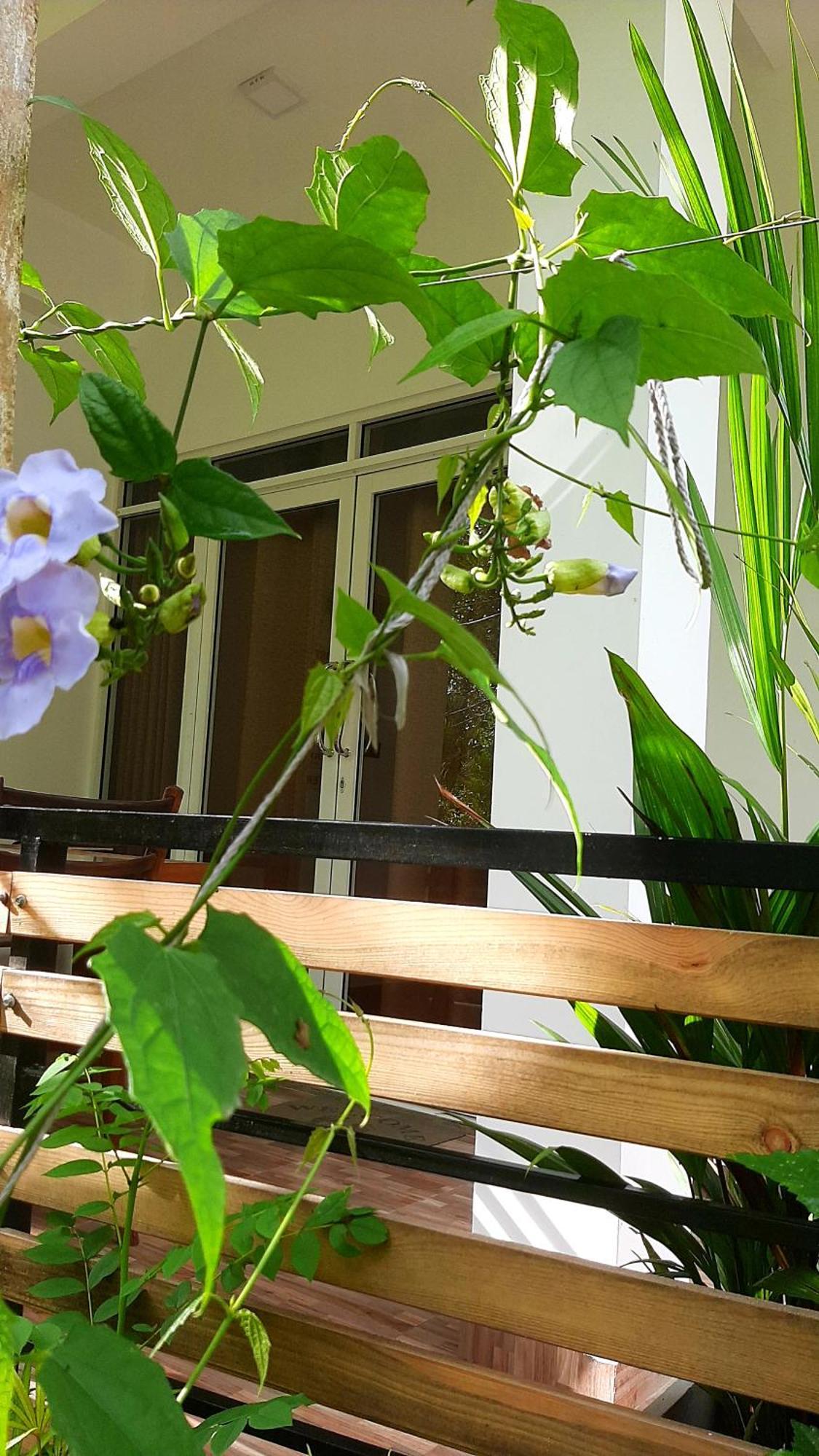 Dhanudi Homestay 엘라 외부 사진